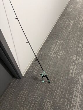 Baitcasting Fishing Rod and Reel - Mint/Black